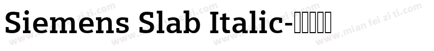 Siemens Slab Italic字体转换